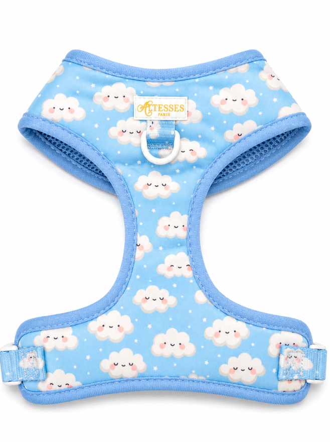 Petit Nuage