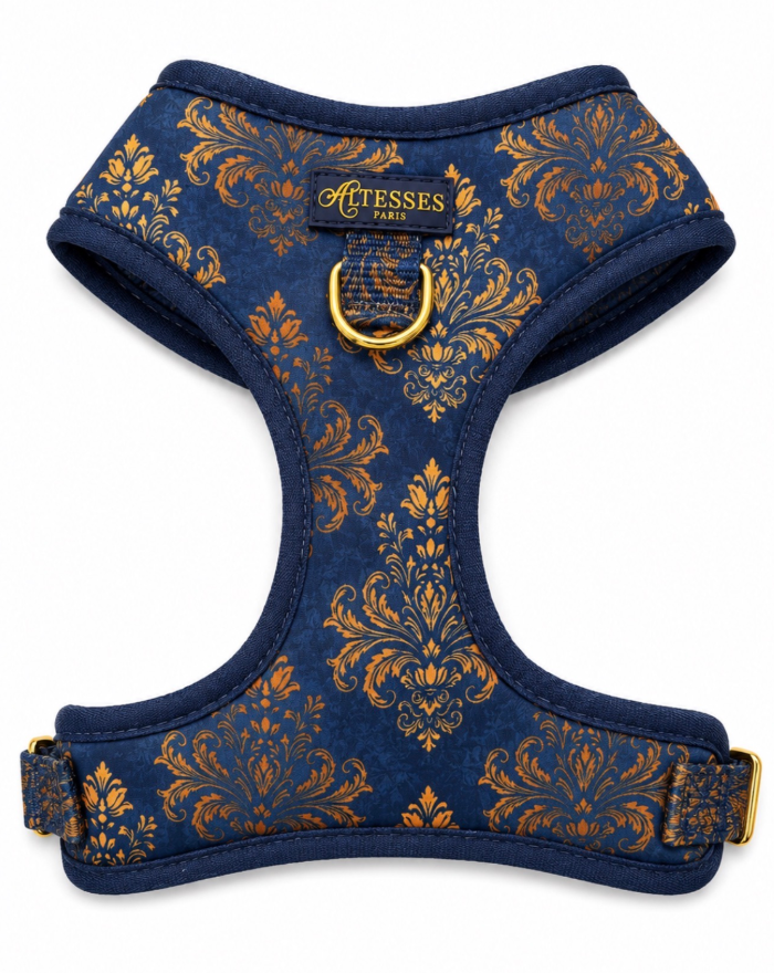 Harnais bleu royal