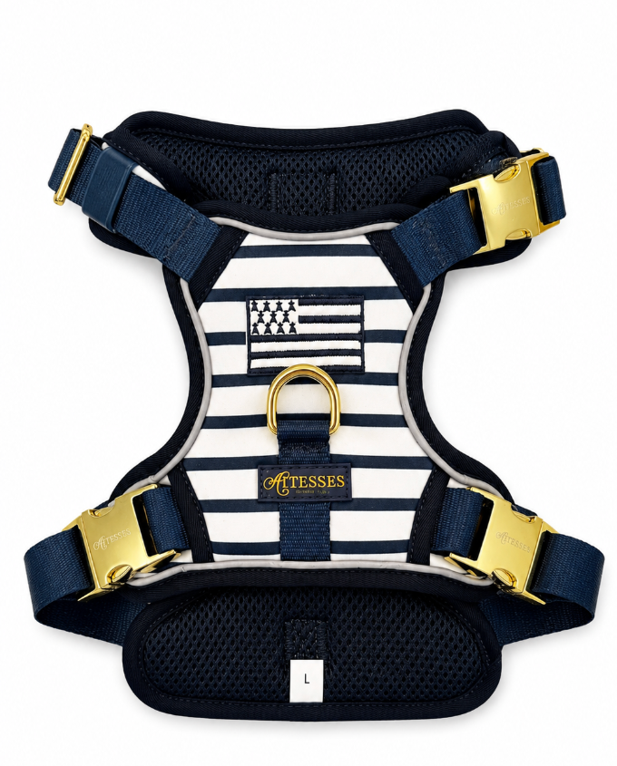 HARNAIS BRETON BLUE