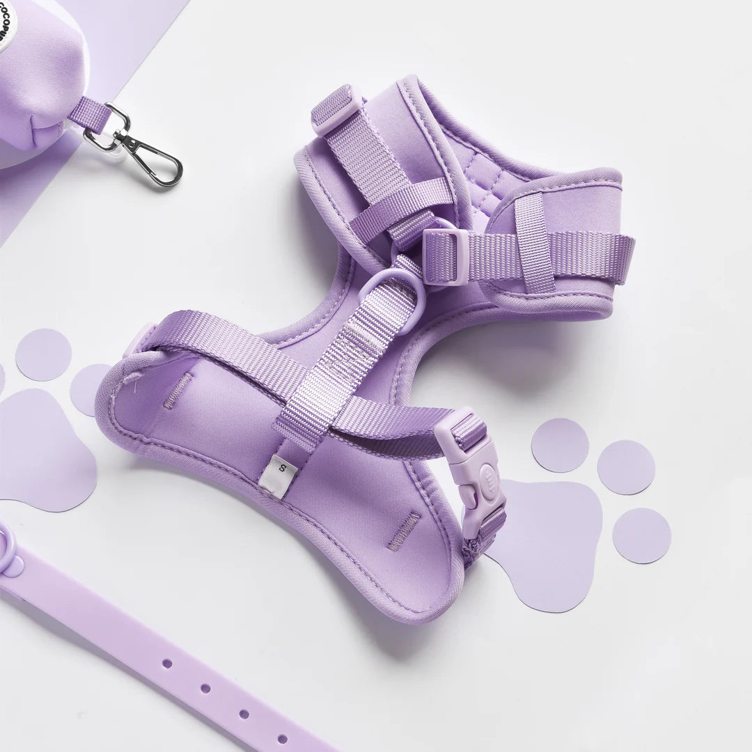Arnés de cuello ajustable NAKD - Violetas de Parma