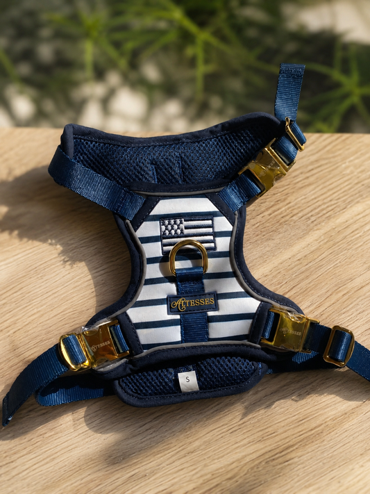 PEDIDO ANTICIPADO EXCLUSIVO - Sens Breton