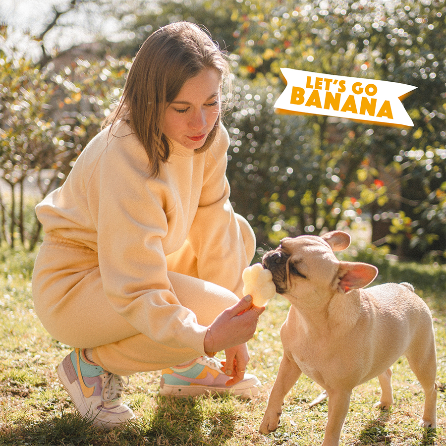 Mélange de banane pour glace pour chien