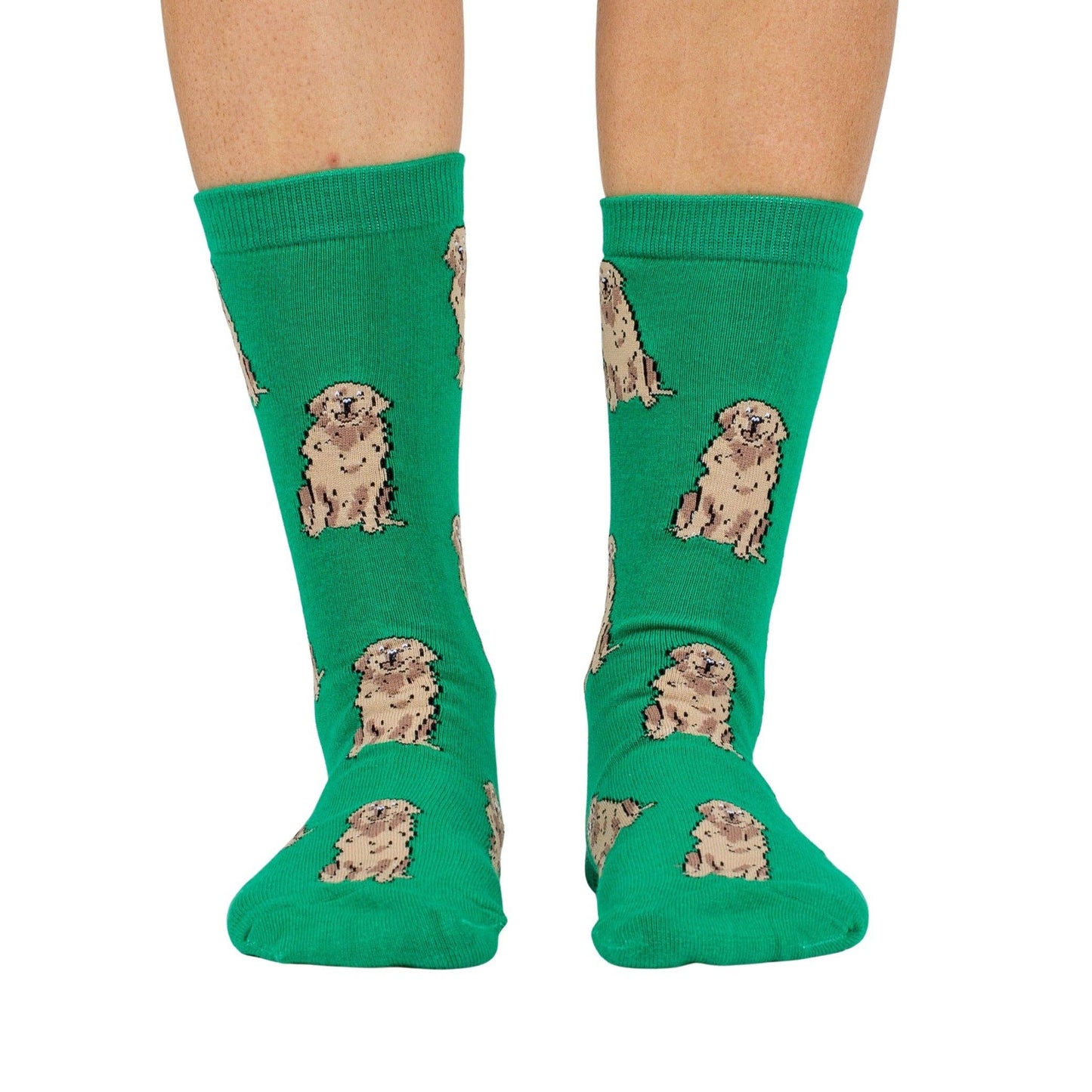 Chaussettes Dog Race: Chihuahua