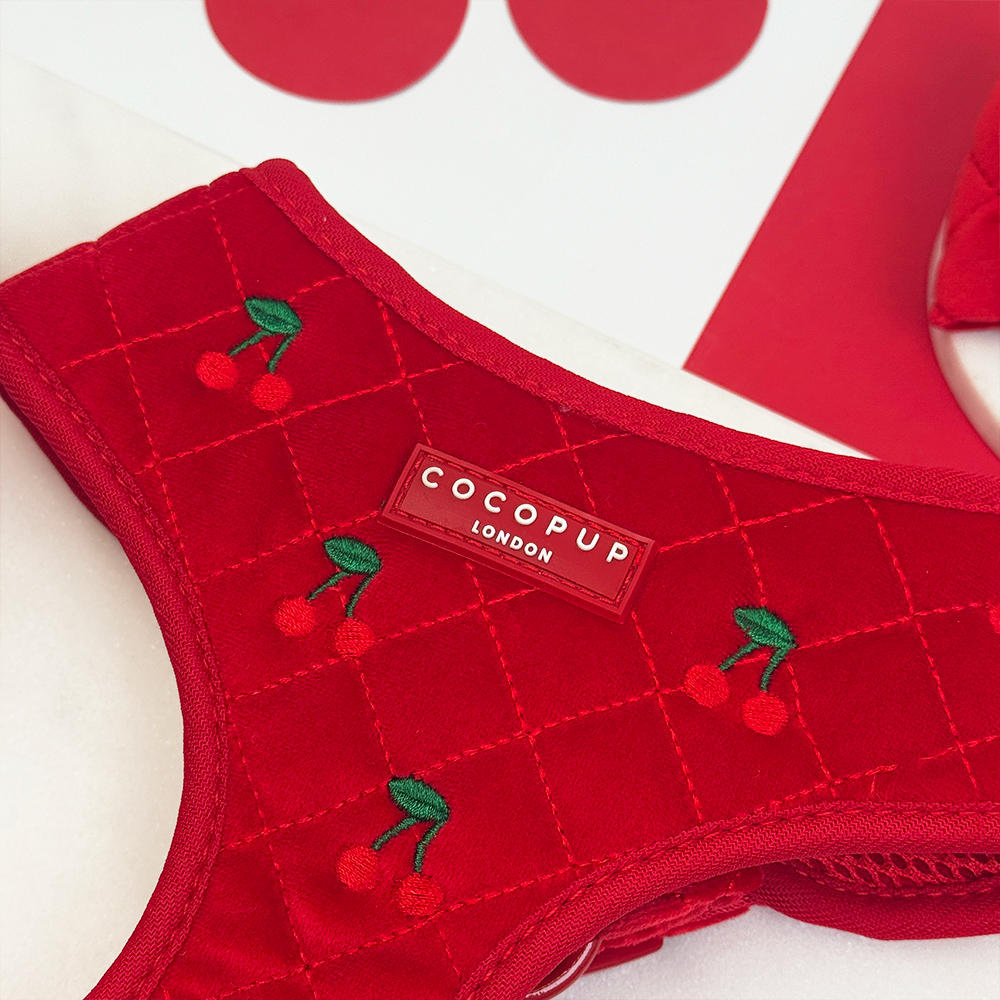 Harnais Réglable de Cou Cherry Velvet Crush: M
