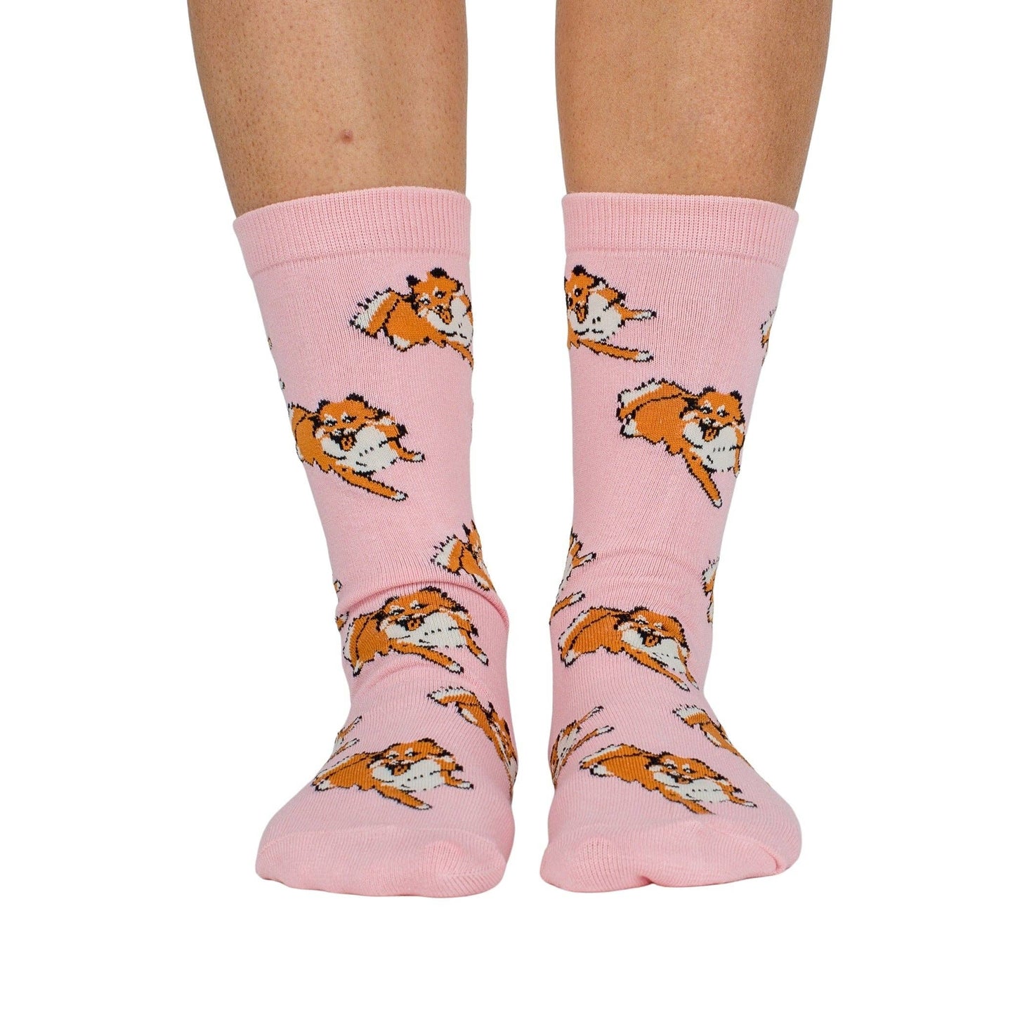 Chaussettes Dog Race: Chihuahua
