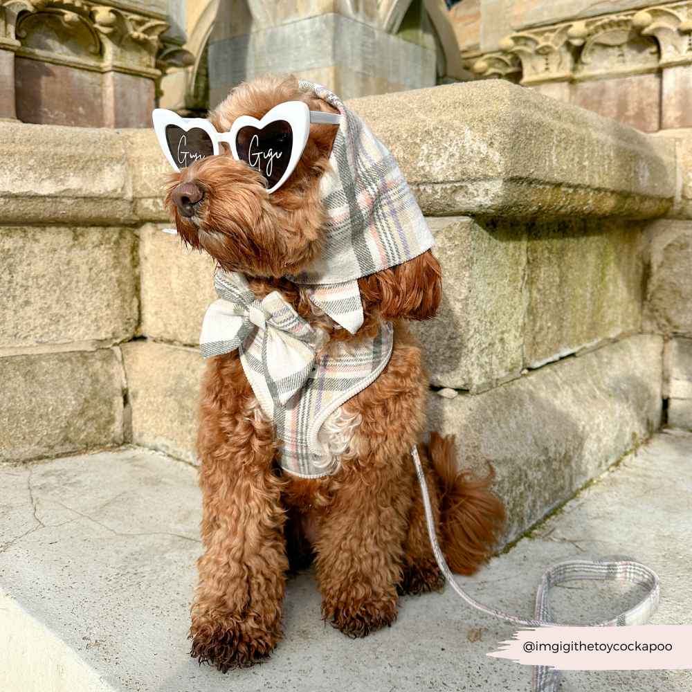 Pañuelo bandana a cuadros de primavera