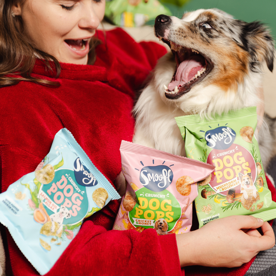 Dog Pops crujientes con aceite de salmón y algas
