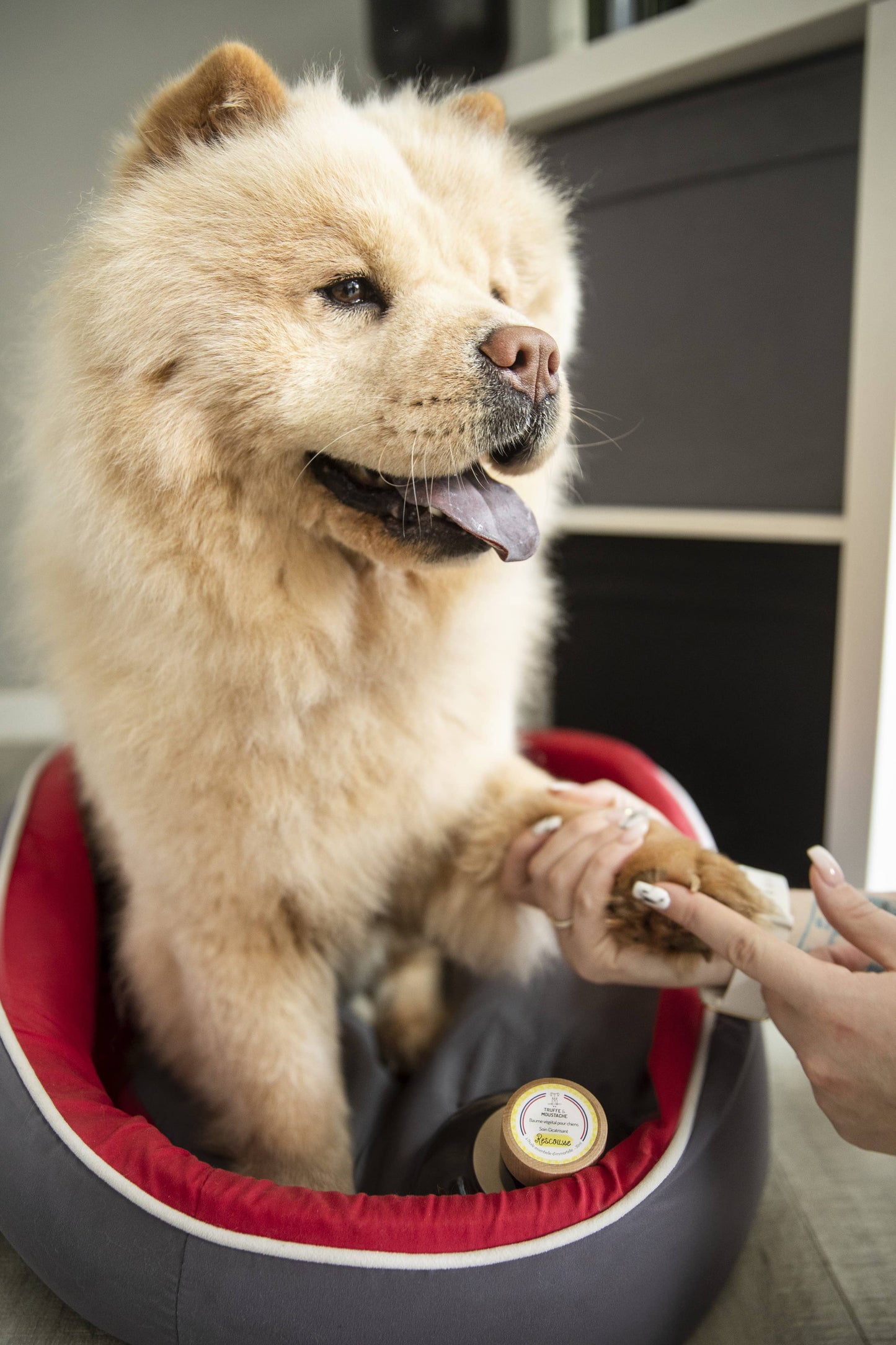 Bálsamo Curativo para Perros, "Rescate"