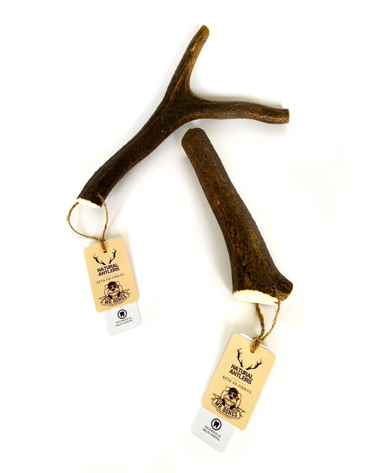 Asta de ciervo M (76 - 150 g) - Juguete masticable natural para perros