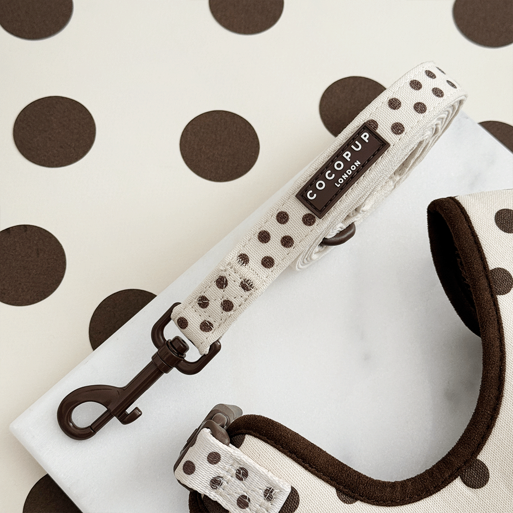 Laisse Tiramisu à pois