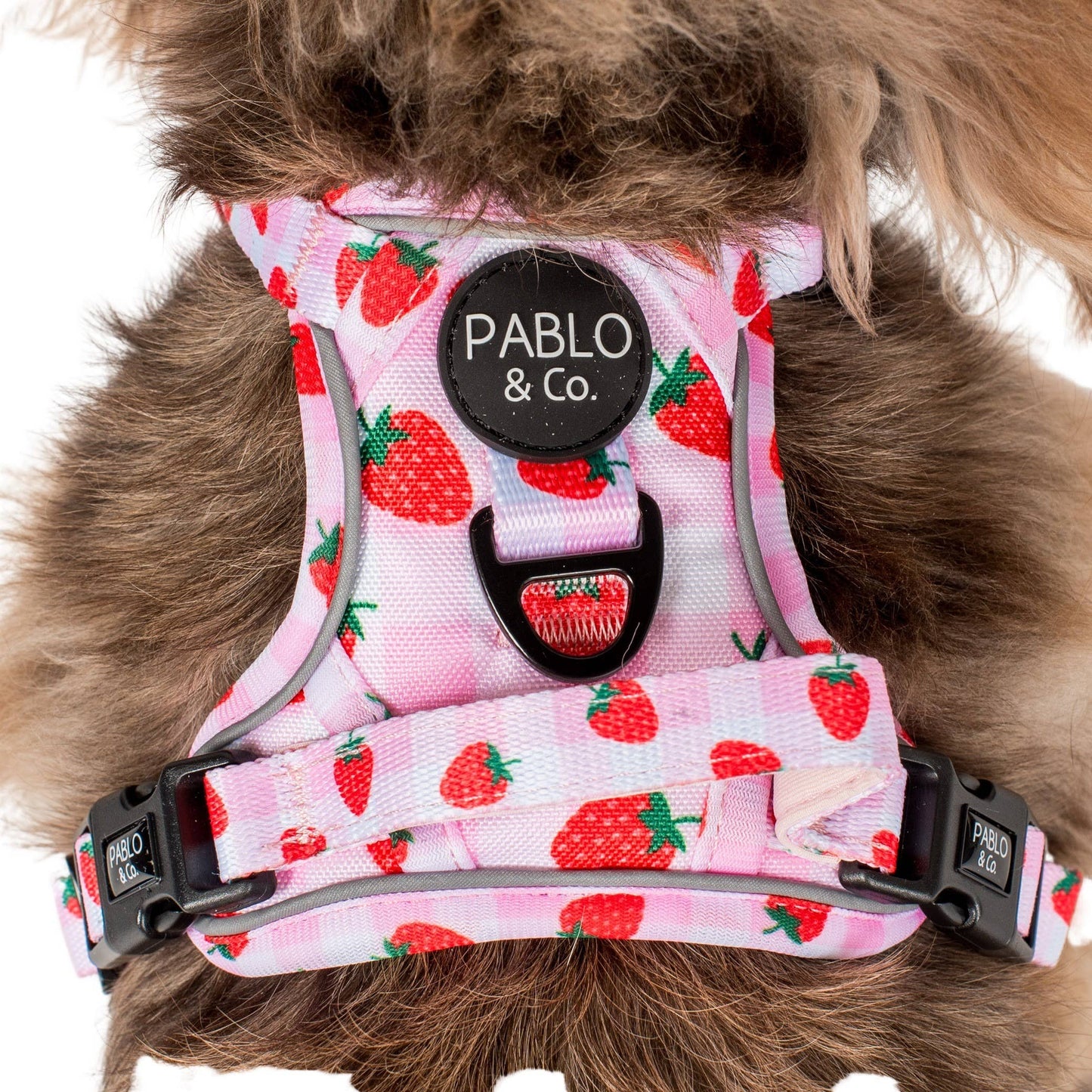 Strawberry Fields : harnais pour chien No Pull Adventure: S