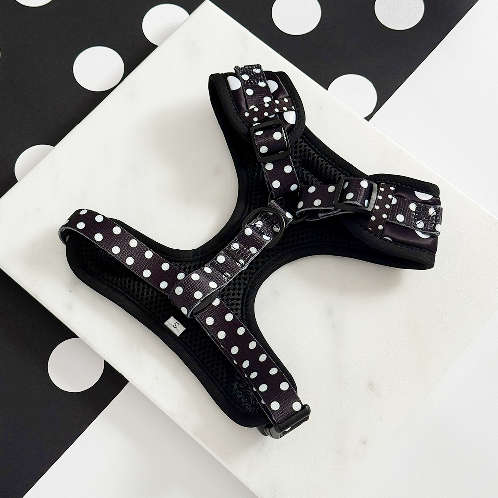 Harnais réglable pour chien en satin à pois: XS