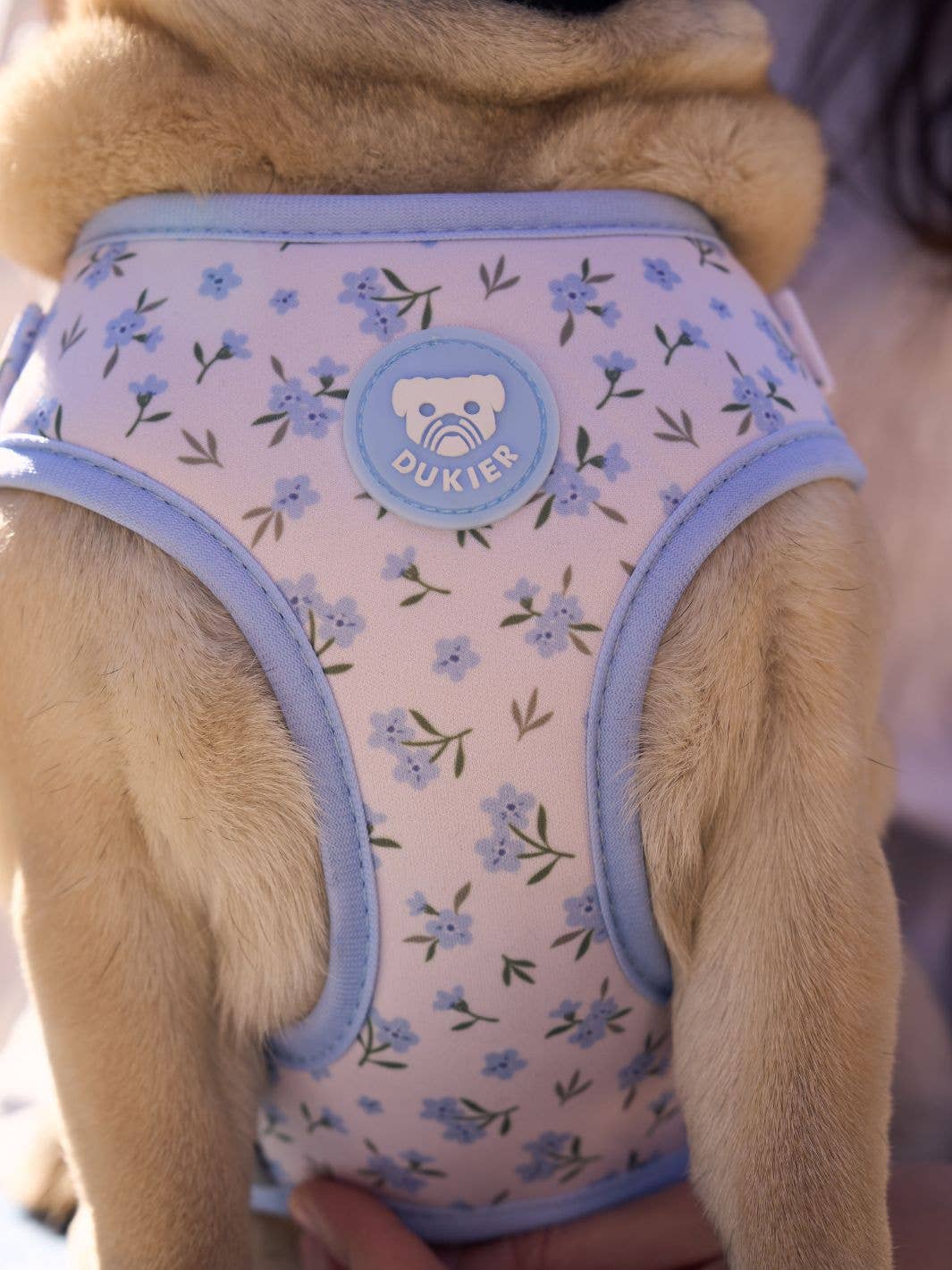 Harnais ajustable pour chien Bloom : S