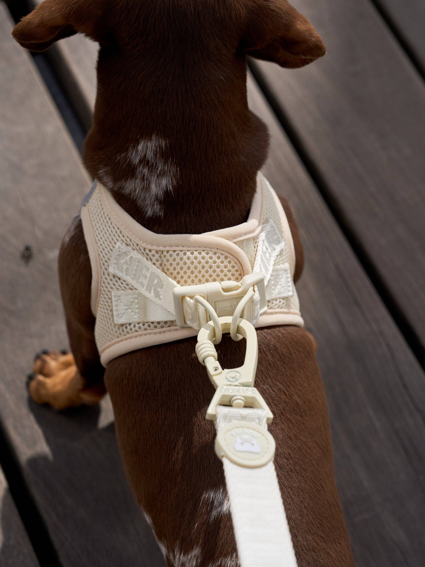 HARNAIS BODY CHIEN BEIGE: M