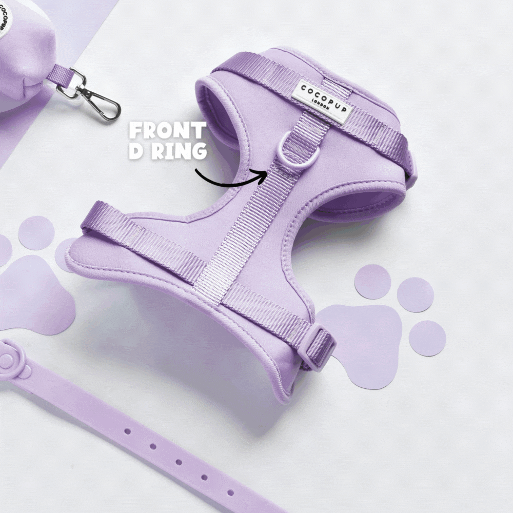 Arnés ajustable para perro NAKD Parma Violets: M