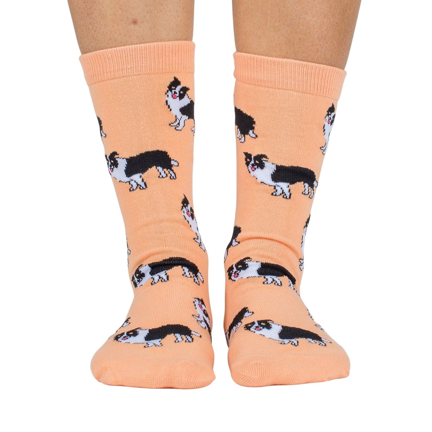 Chaussettes Dog Race: Cocker épagneul