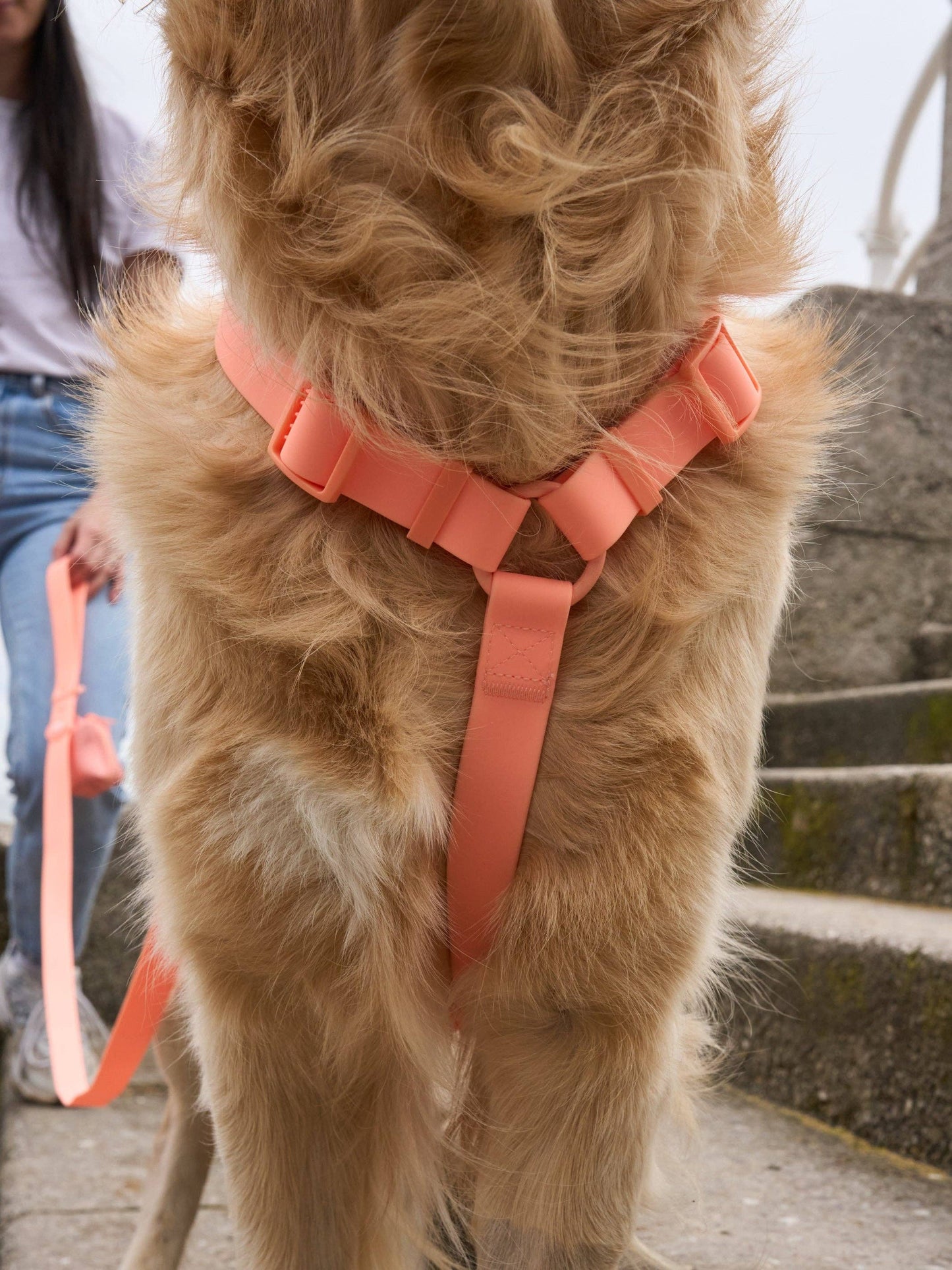 ARNÉS IMPERMEABLE PARA PERRO CORAL: M