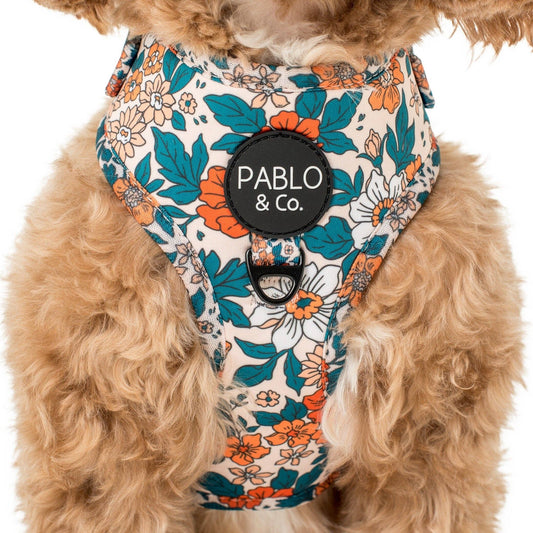 Wildflowers : ARNÉS AJUSTABLE PARA PERRO