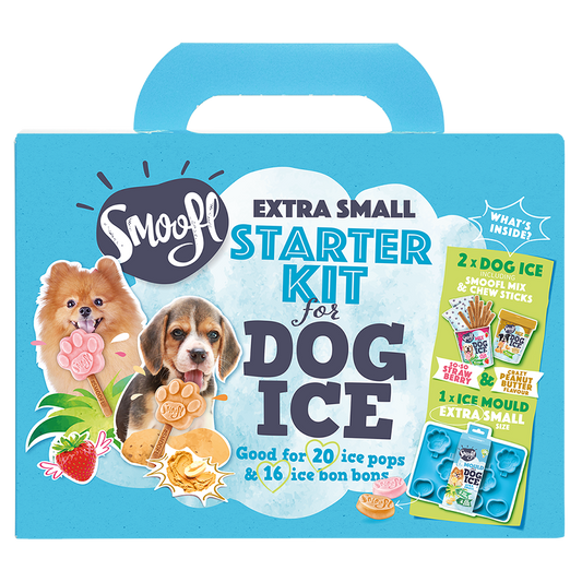 Kit de démarrage extra petit pour glace pour chien