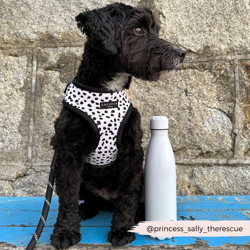 Arnés Ajustable para Perro con Estampado de Manchas Monocromáticas: M