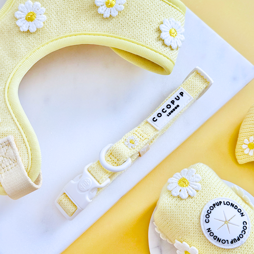 Collar Buttercup Pup: Mediano