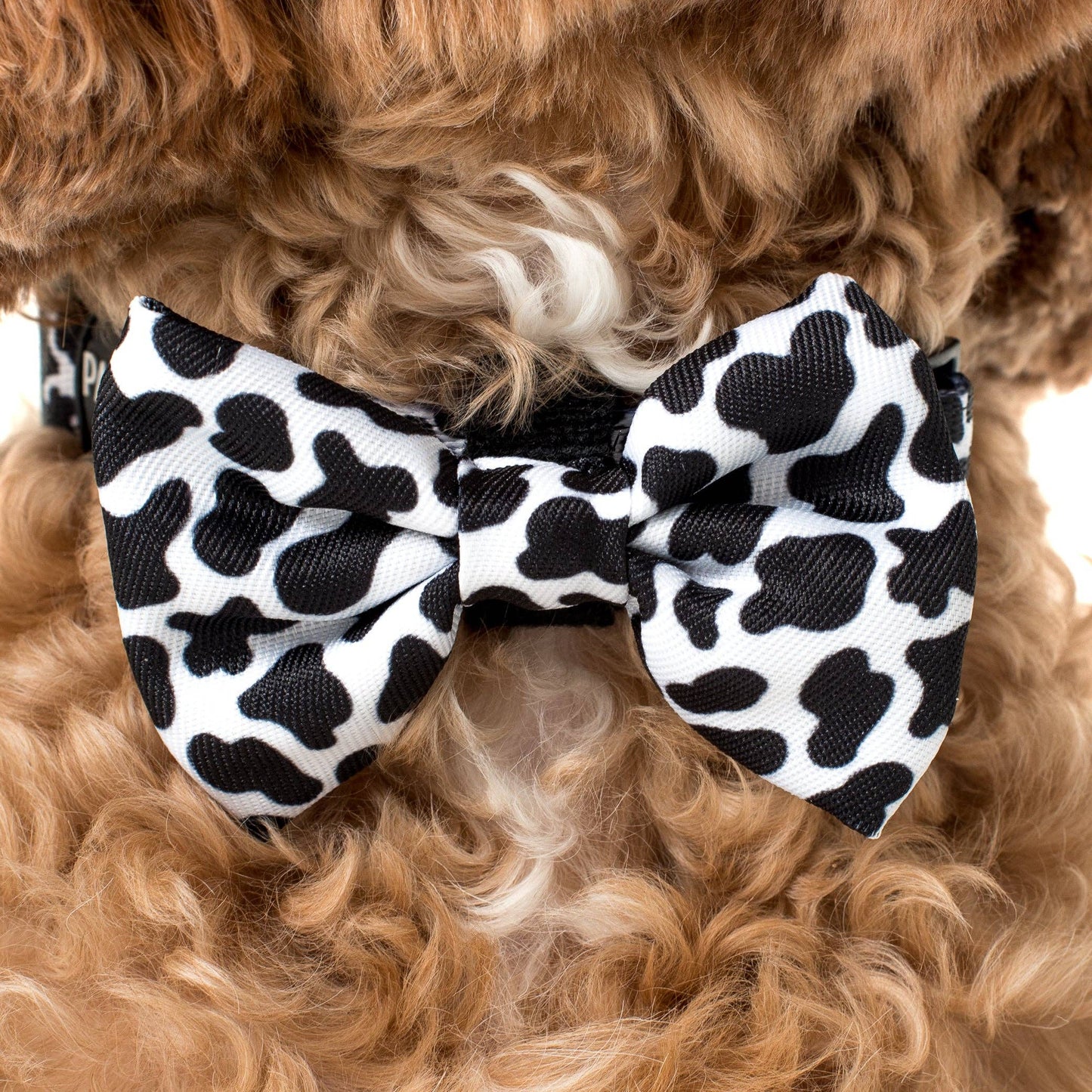 Moo Moo: CORBATA DE MOÑO PARA PERRO: Mediana