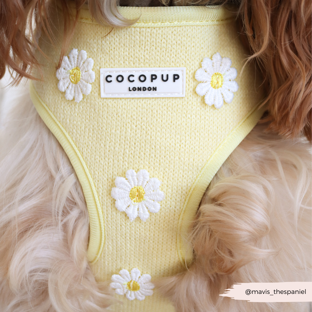 Buttercup Pup Adjustable Neck Harness: M