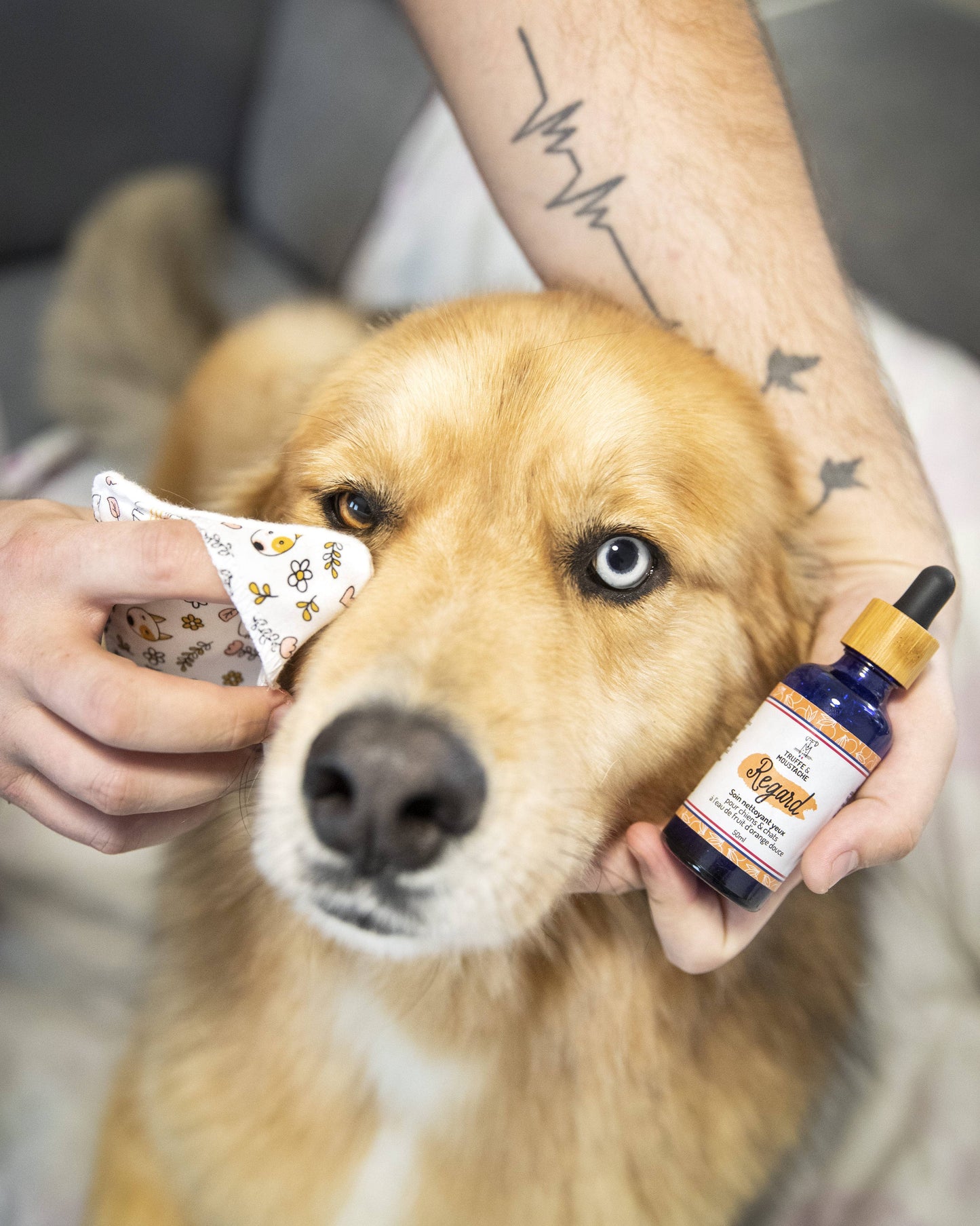 Cuidado Limpiador de ojos para perros y gatos, "Mirada"