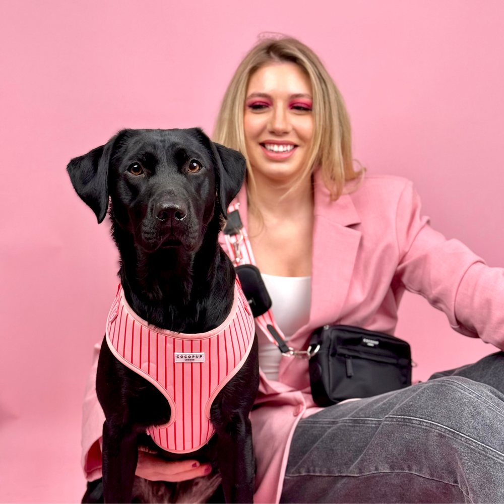 Arnés de cuello ajustable a rayas de caramelo: S