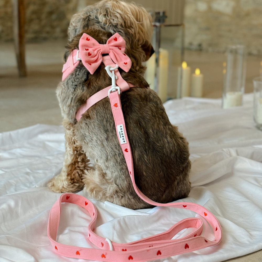 Cuerda de Corazón Rosa