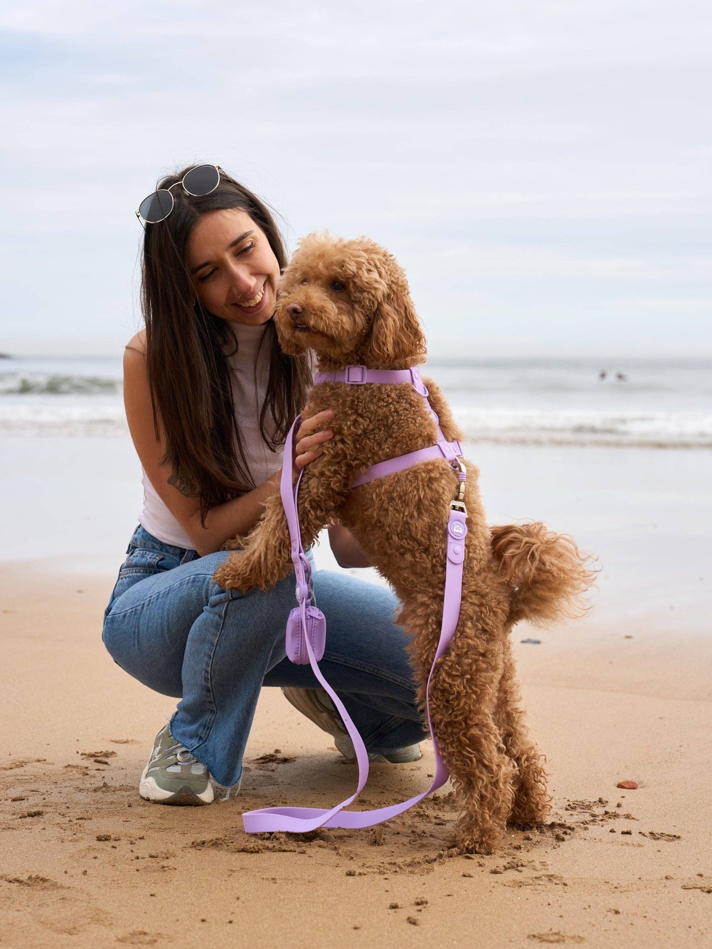 CORREA WATERPROOF PARA PERRO PURPLE: S