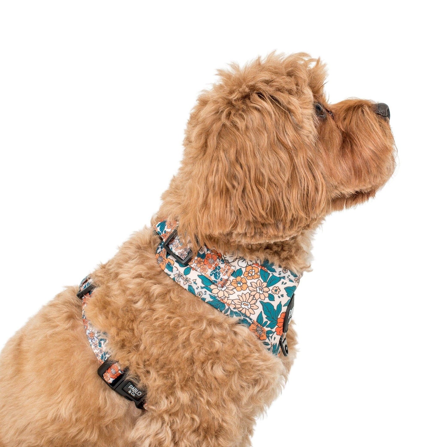 Wildflowers : ARNÉS AJUSTABLE PARA PERRO
