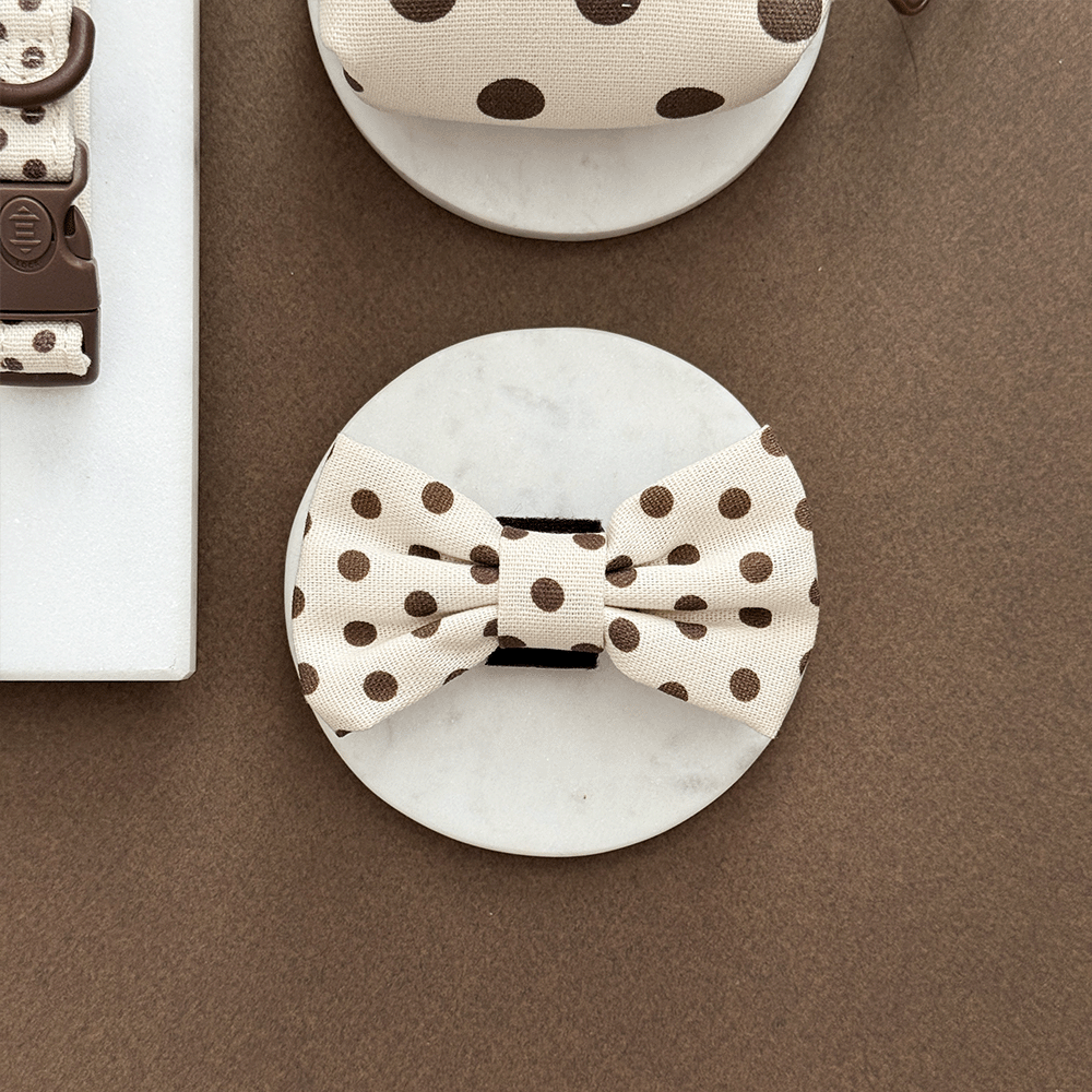 Nœud-papillon à pois Tiramisu