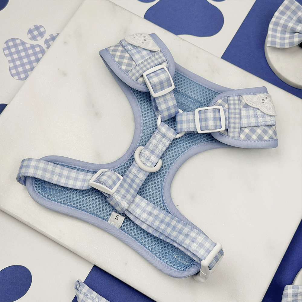 Harnais réglable pour le cou — bleu anglais: M