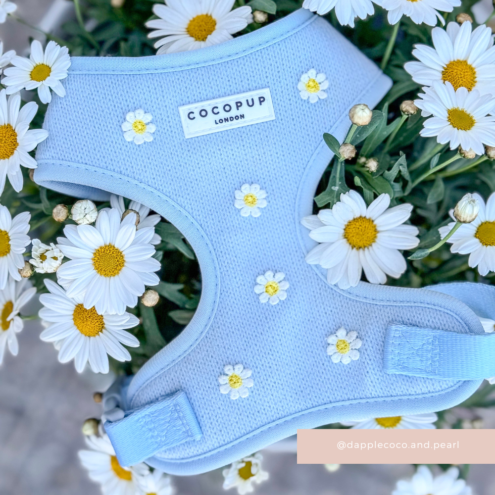 Harnais Blue Daisy Dream à encolure réglable: S