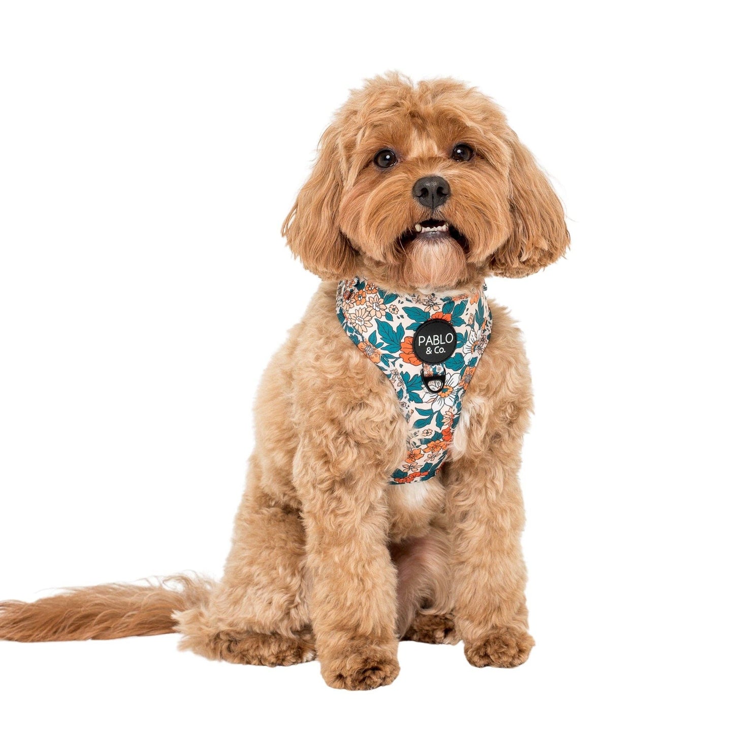 Wildflowers : ARNÉS AJUSTABLE PARA PERRO