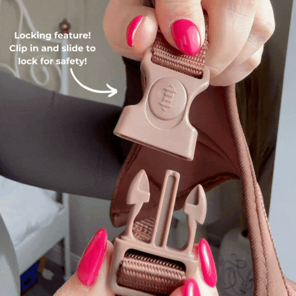 Arnés ajustable para perro con cuello estilo limón Amalfi: S