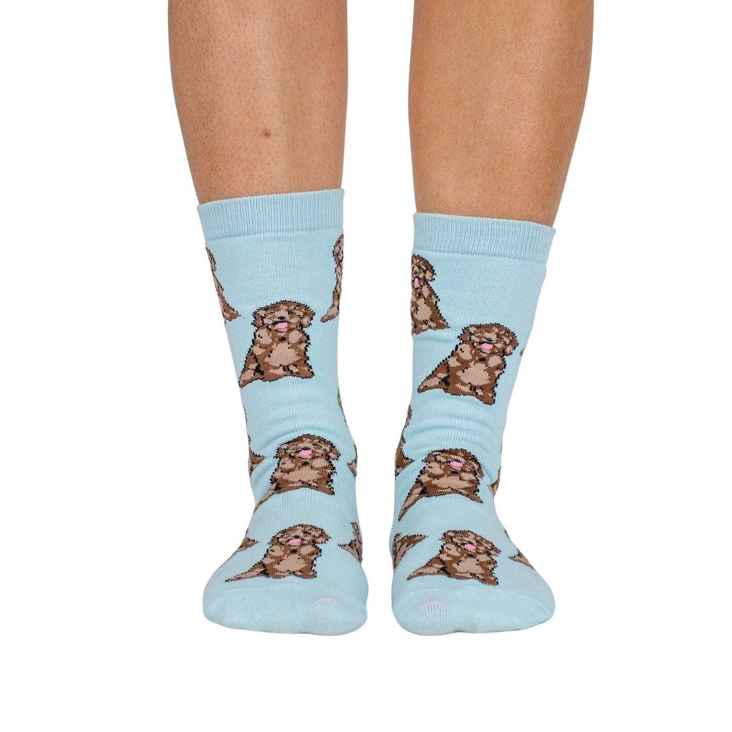 Chaussettes Dog Race: Cocker épagneul