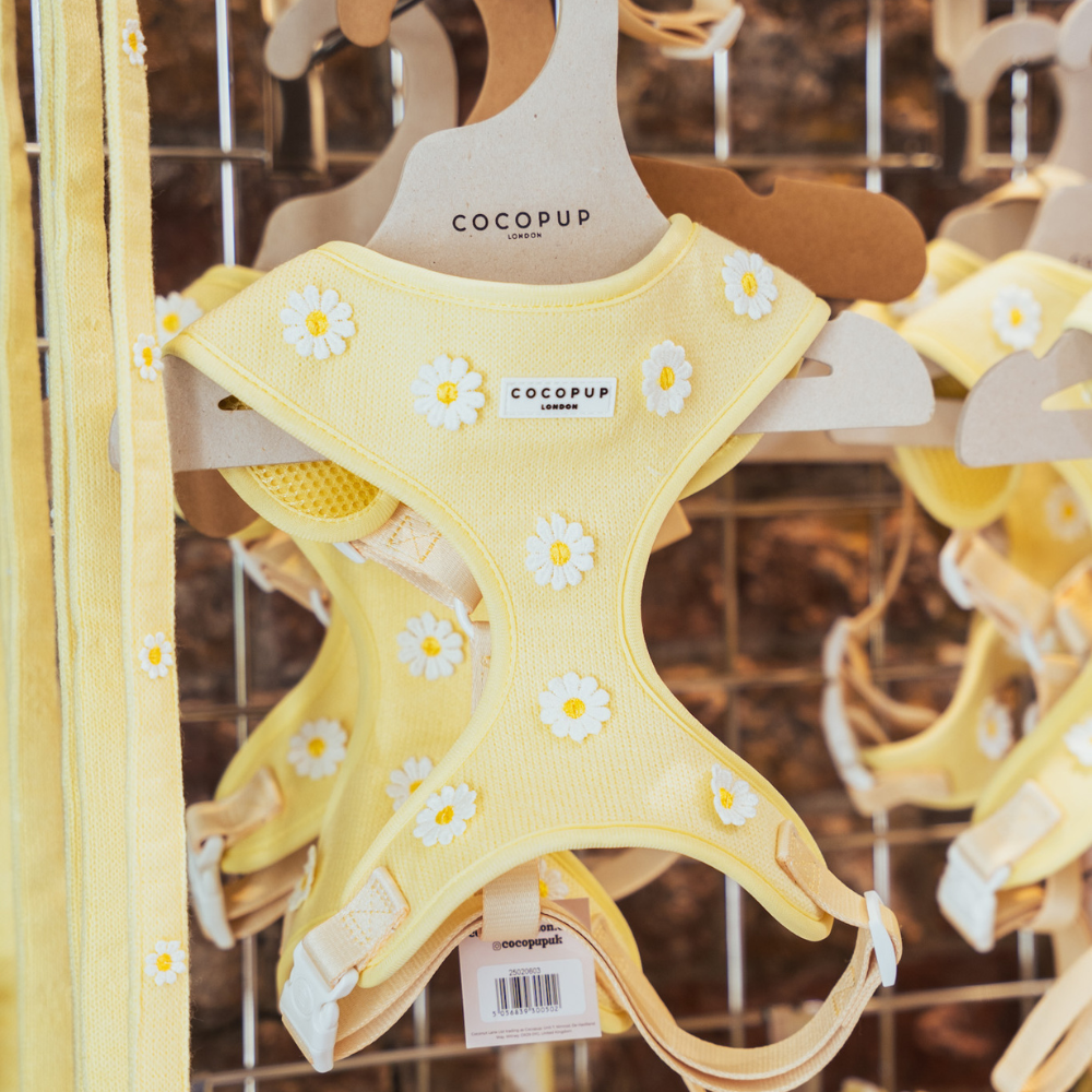 Harnais ajustable pour le cou Buttercup Pup : S