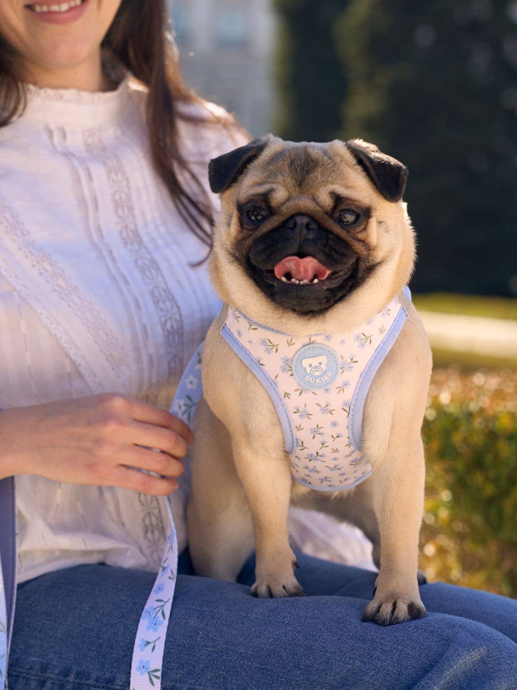 ARNÉS DE CUERPO PARA PERRO BLOOM: S