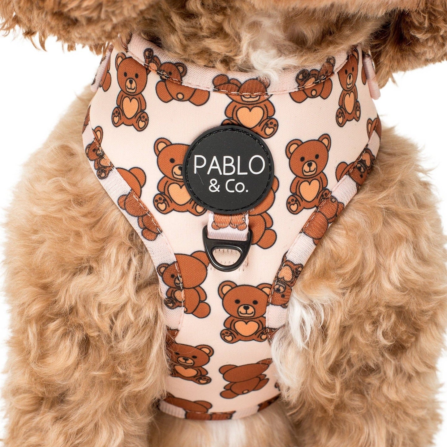 Teddy Bears Picnic: ARNÉS AJUSTABLE PARA PERRO