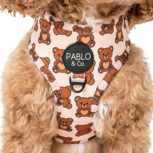 Teddy Bears Picnic: ARNÉS AJUSTABLE PARA PERRO