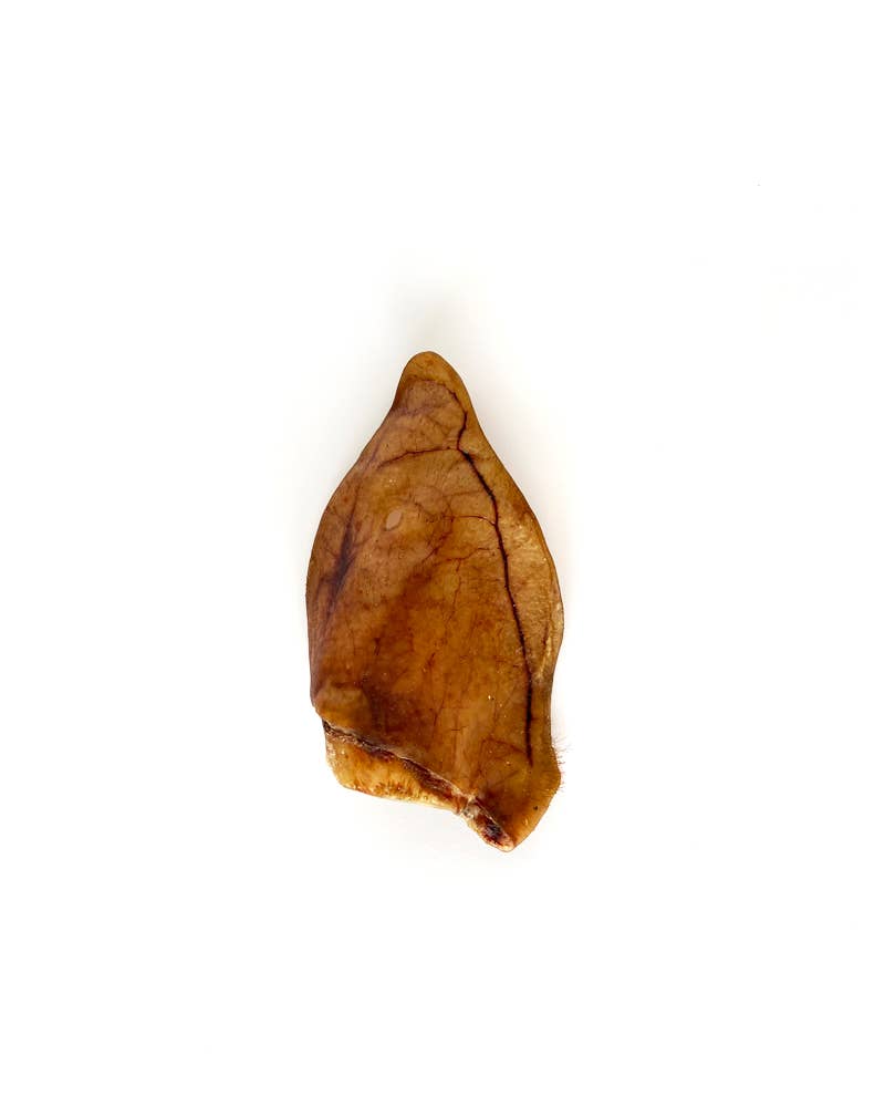 Oreja de cerdo ibérico - Snack natural para perros