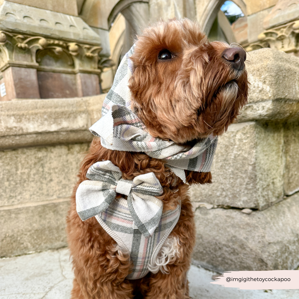 Pañuelo bandana a cuadros de primavera