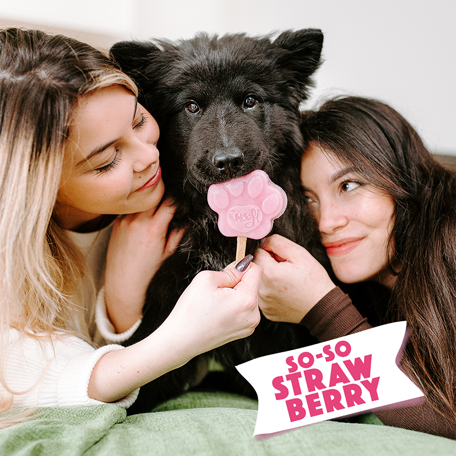 Mezcla de fresa para helado de perro