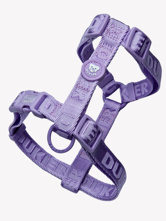ARNÉS CLÁSICO MORADO PARA PERRO