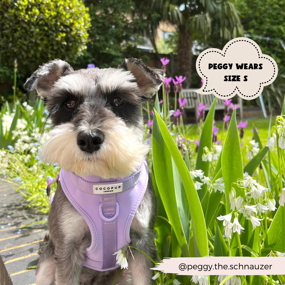 Arnés ajustable para perro NAKD Parma Violets: M