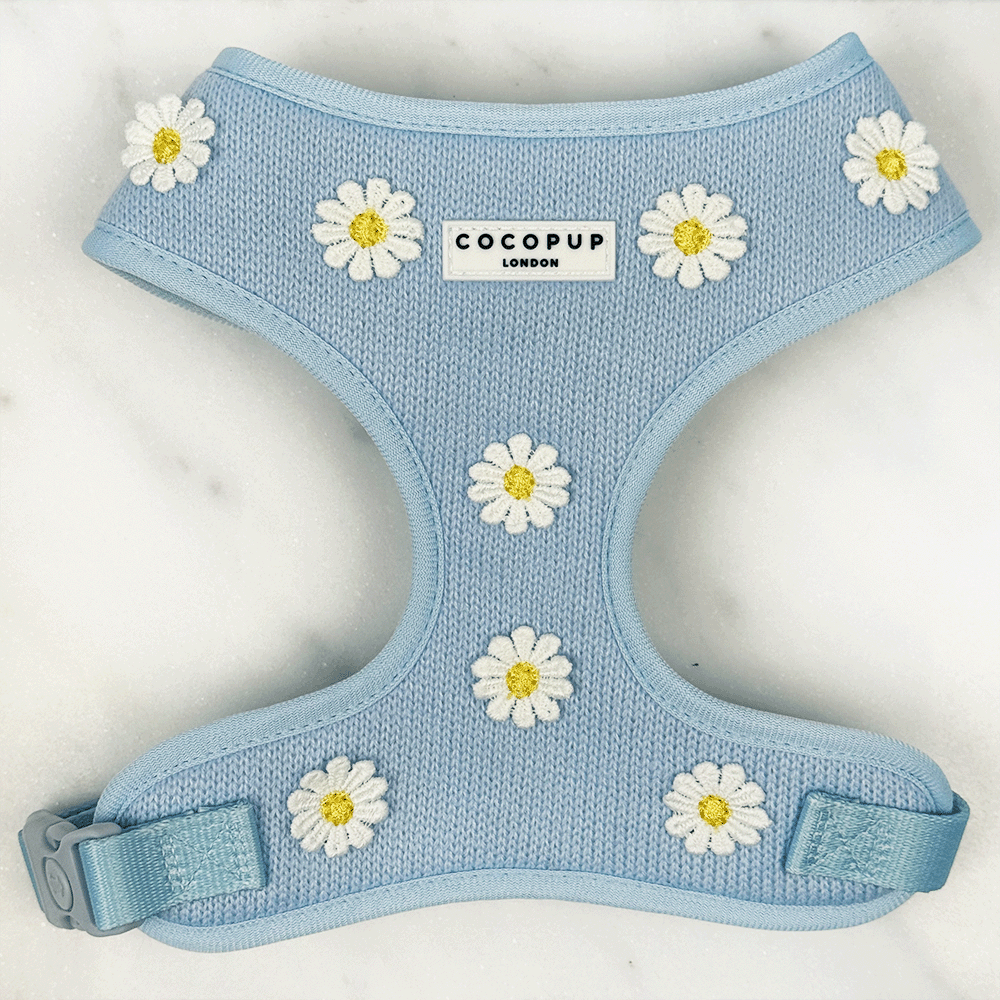 Harnais Blue Daisy Dream à encolure réglable: S