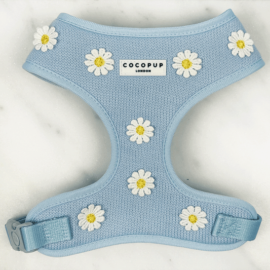 Harnais Blue Daisy Dream à encolure réglable: S