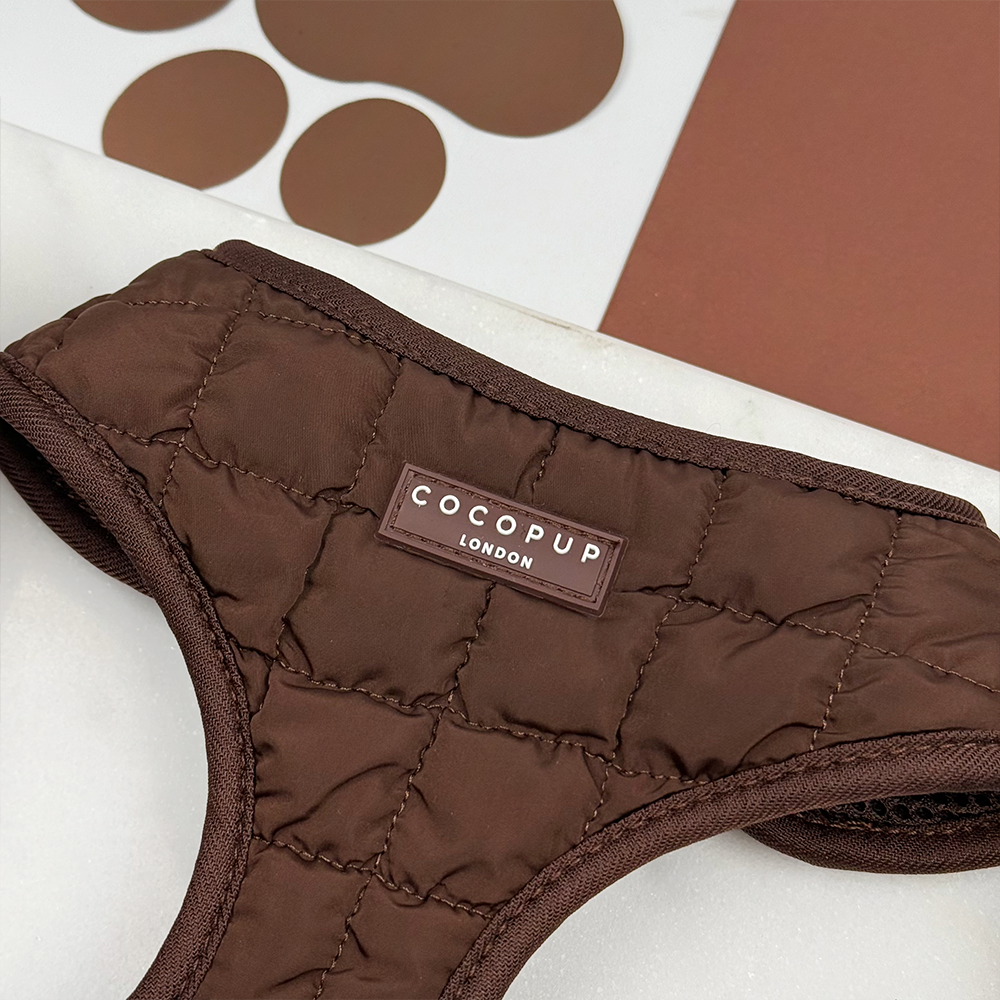 Harnais matelassé réglable pour le cou Espresso: XS